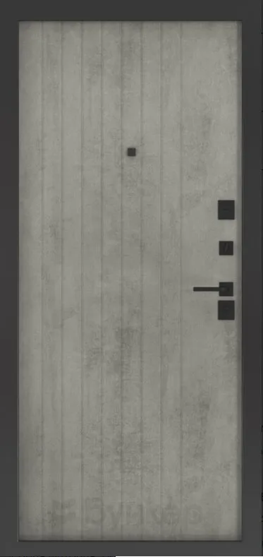 Товар Дверь BN-01.2 DIS006813